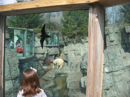 2003-03-18 091 Polar Bear