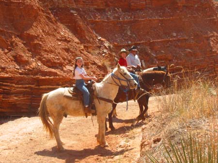 2004-03-24 062 Ride