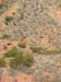 2004-03-24 214 Hike