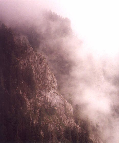 The Trip Back Down